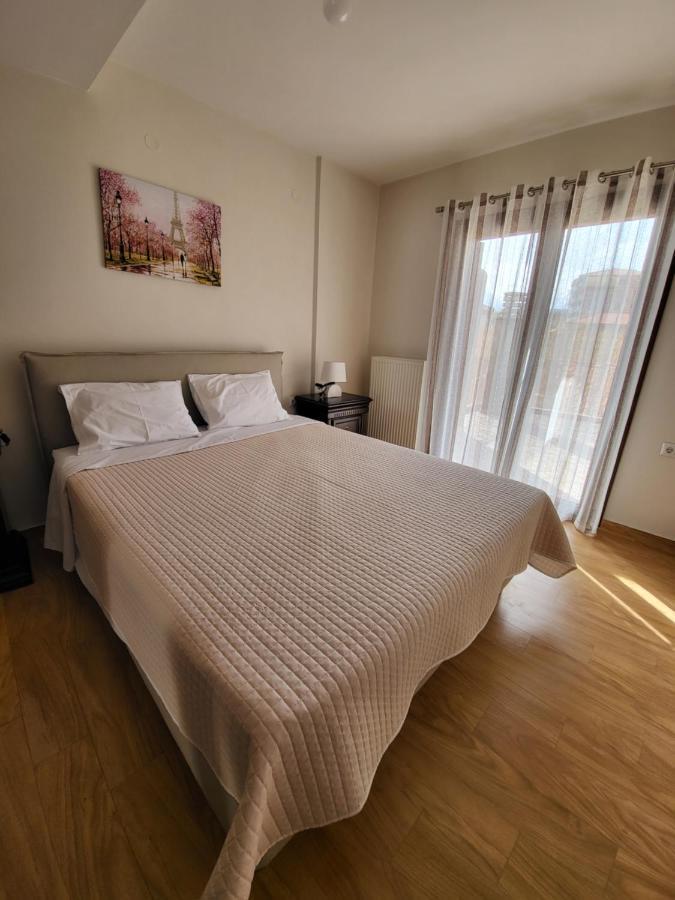 Αρτέμιδα Plus Karpenisi Apartment Εξωτερικό φωτογραφία
