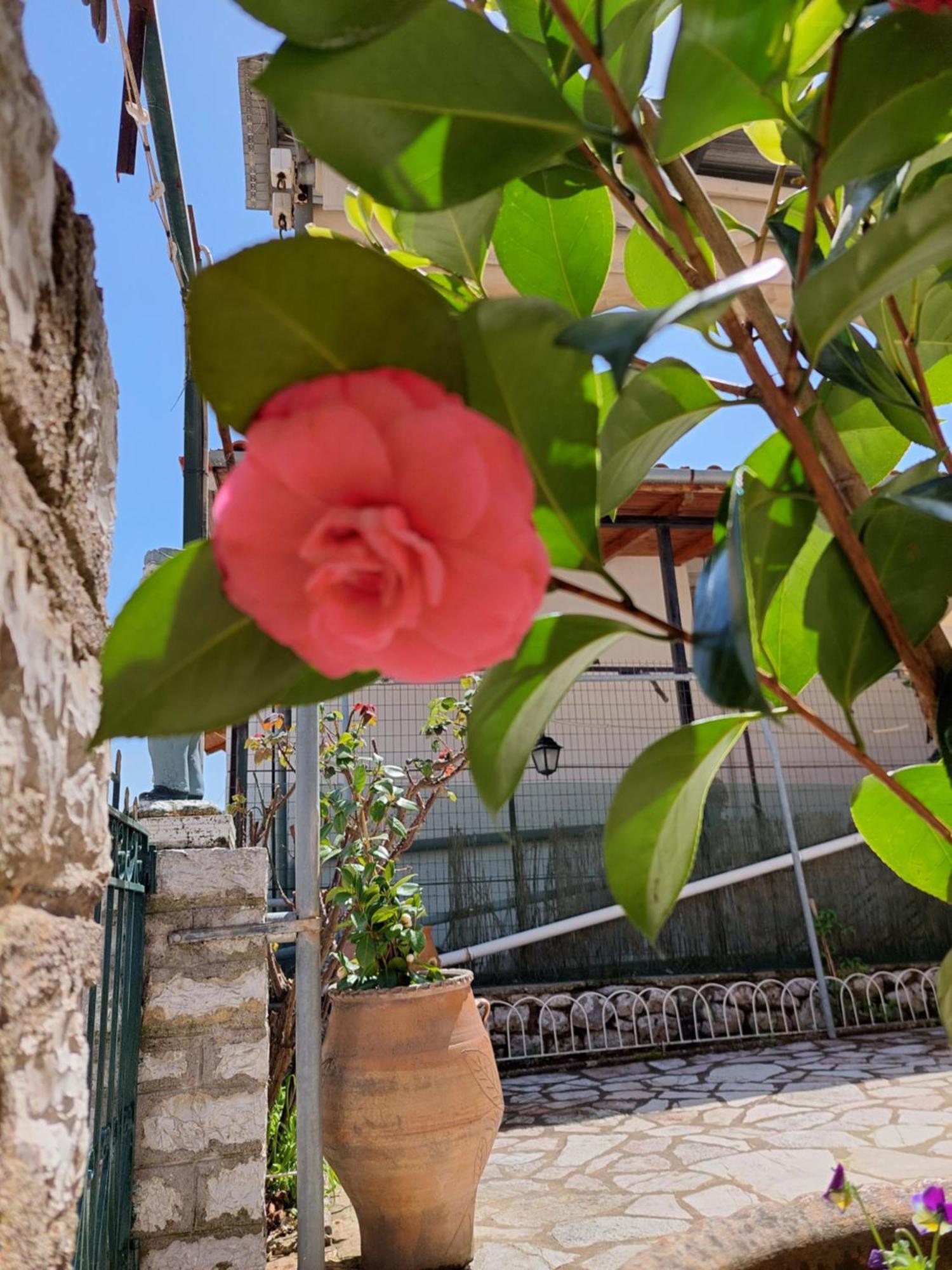 Αρτέμιδα Plus Karpenisi Apartment Εξωτερικό φωτογραφία